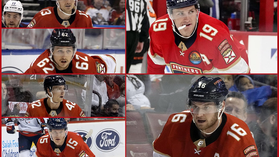 Florida panthers