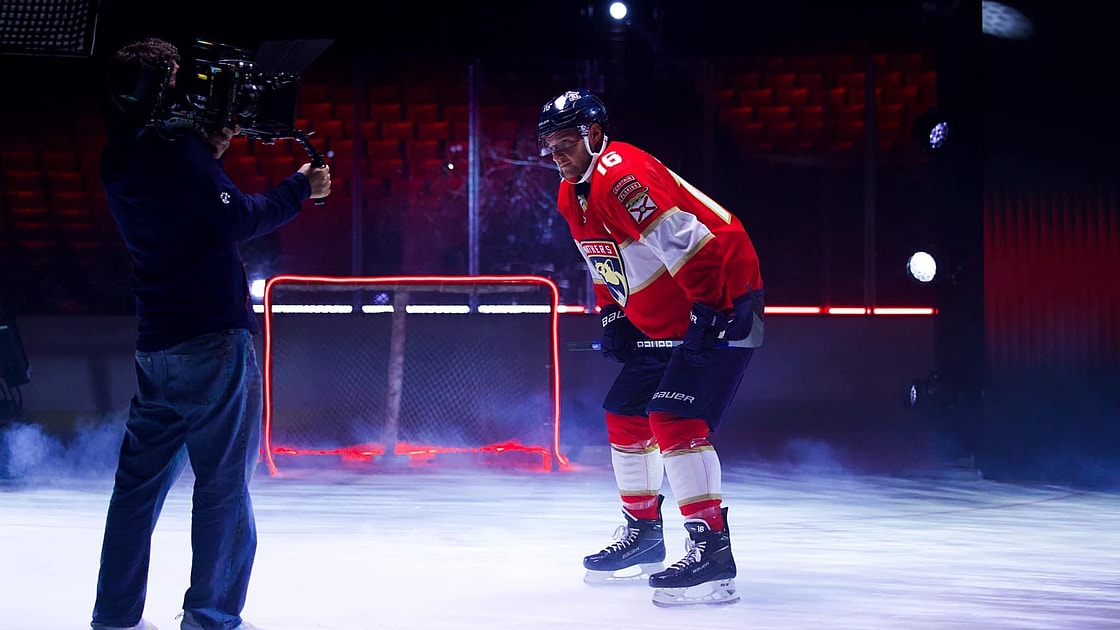 Florida panthers