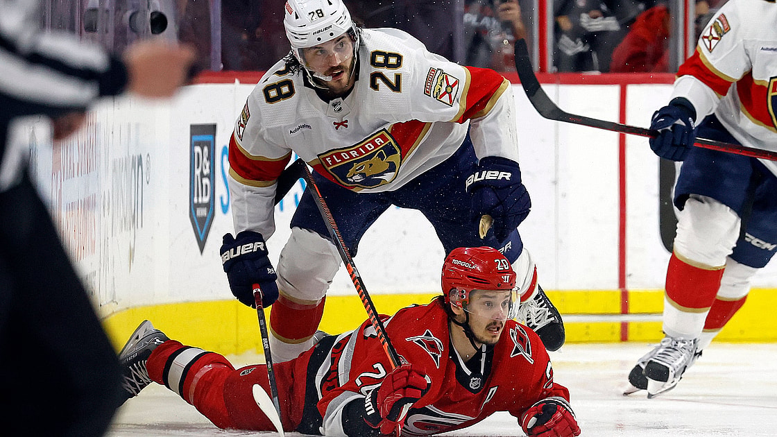 Florida panthers