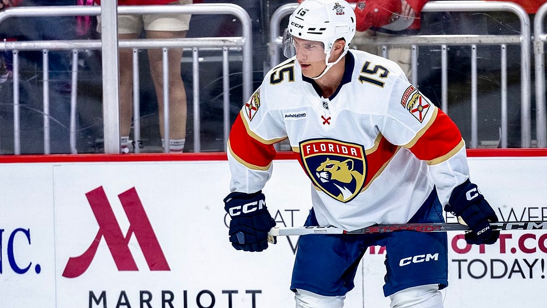 Florida panthers