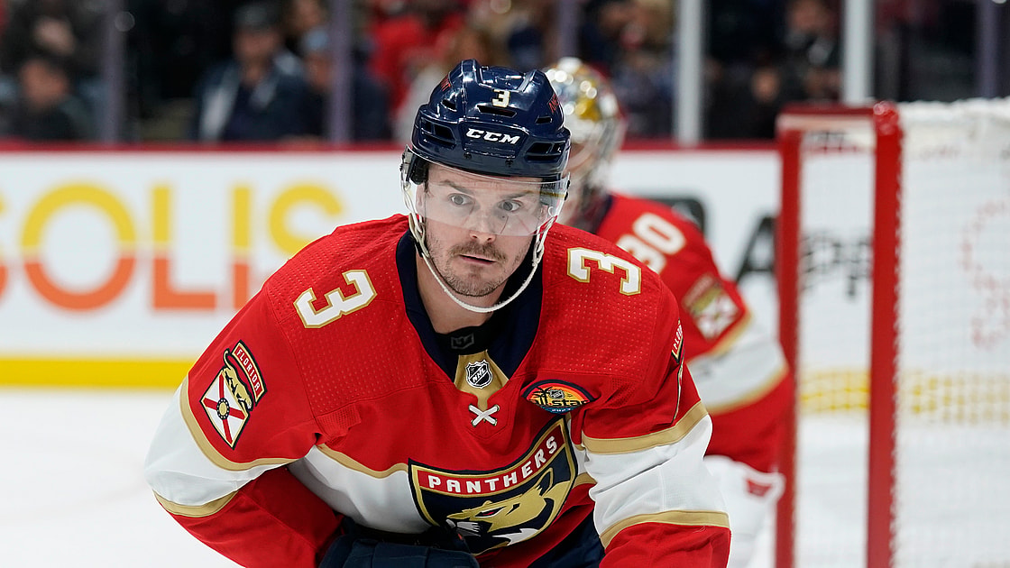 Florida panthers