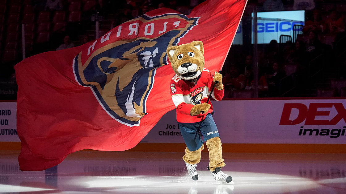 Florida panthers
