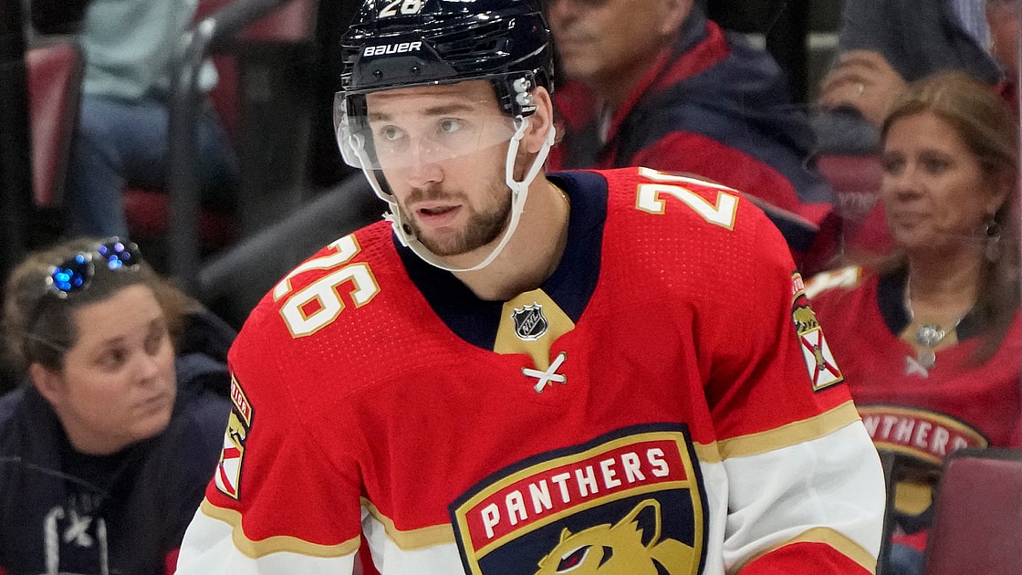 Florida panthers