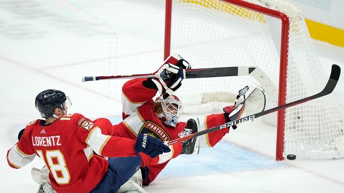Florida panthers