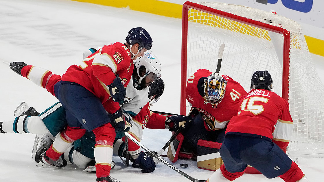 Florida panthers
