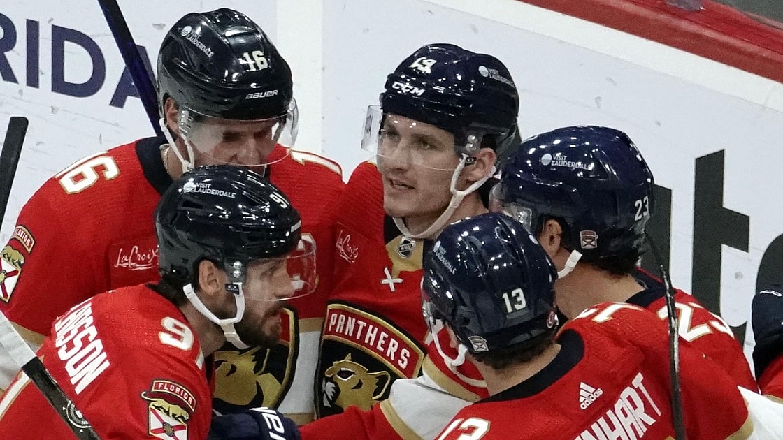 Florida panthers