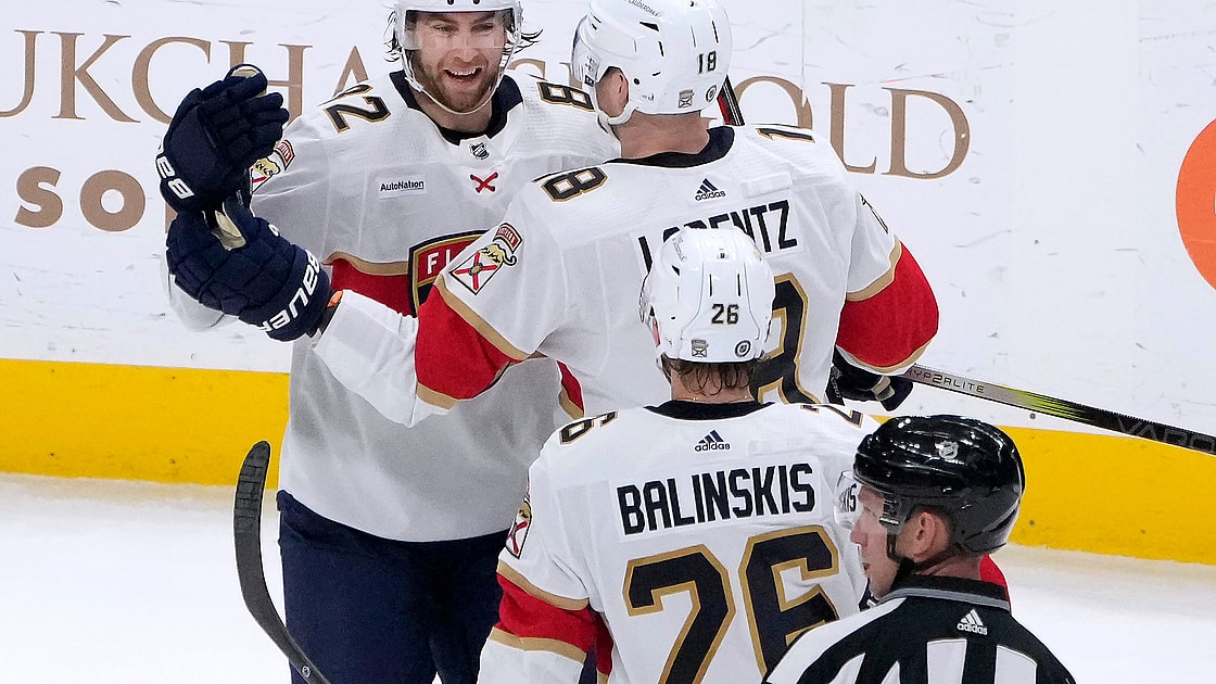 Florida panthers