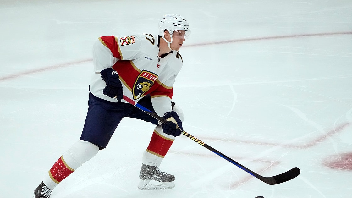 Florida panthers