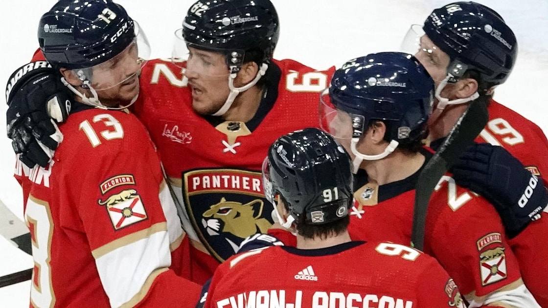 Florida panthers