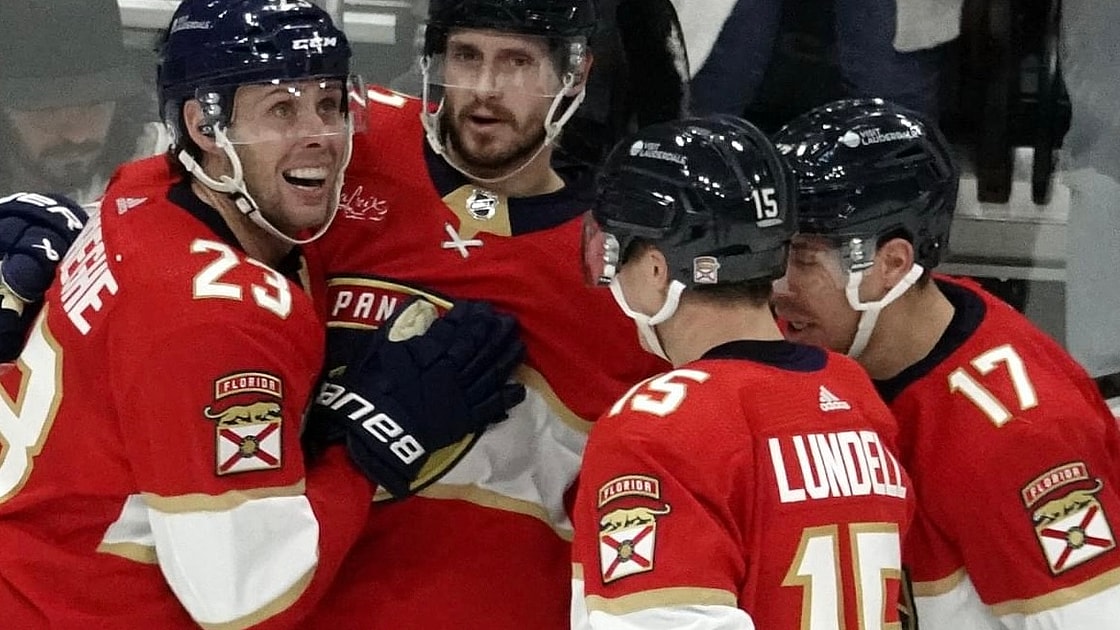 Florida panthers