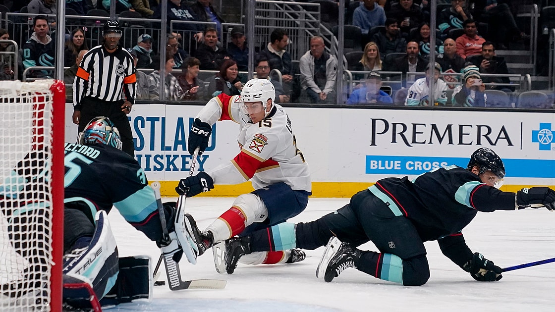 Florida panthers