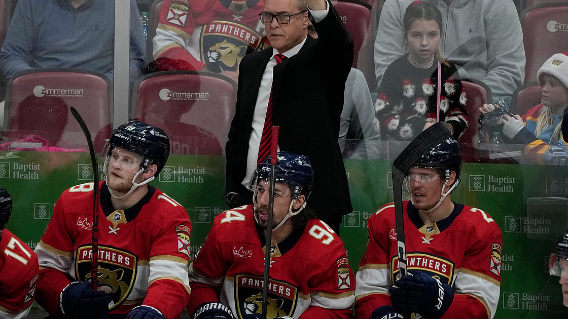 Florida panthers