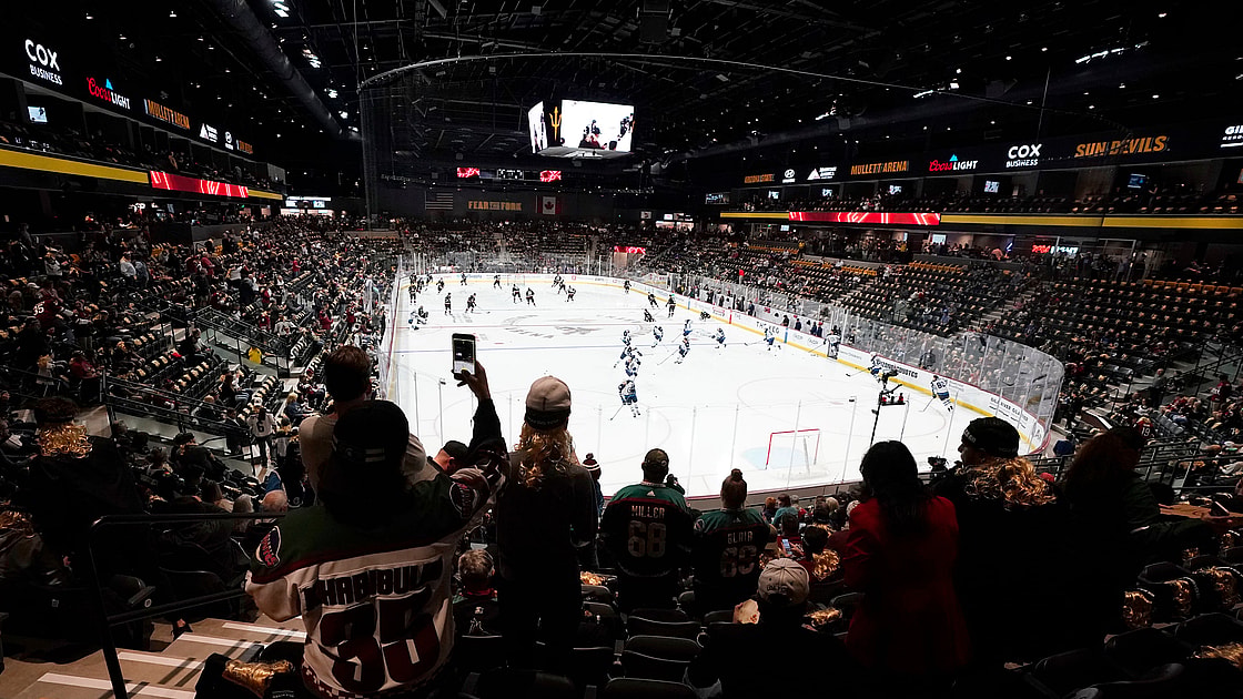 Panthers coyotes