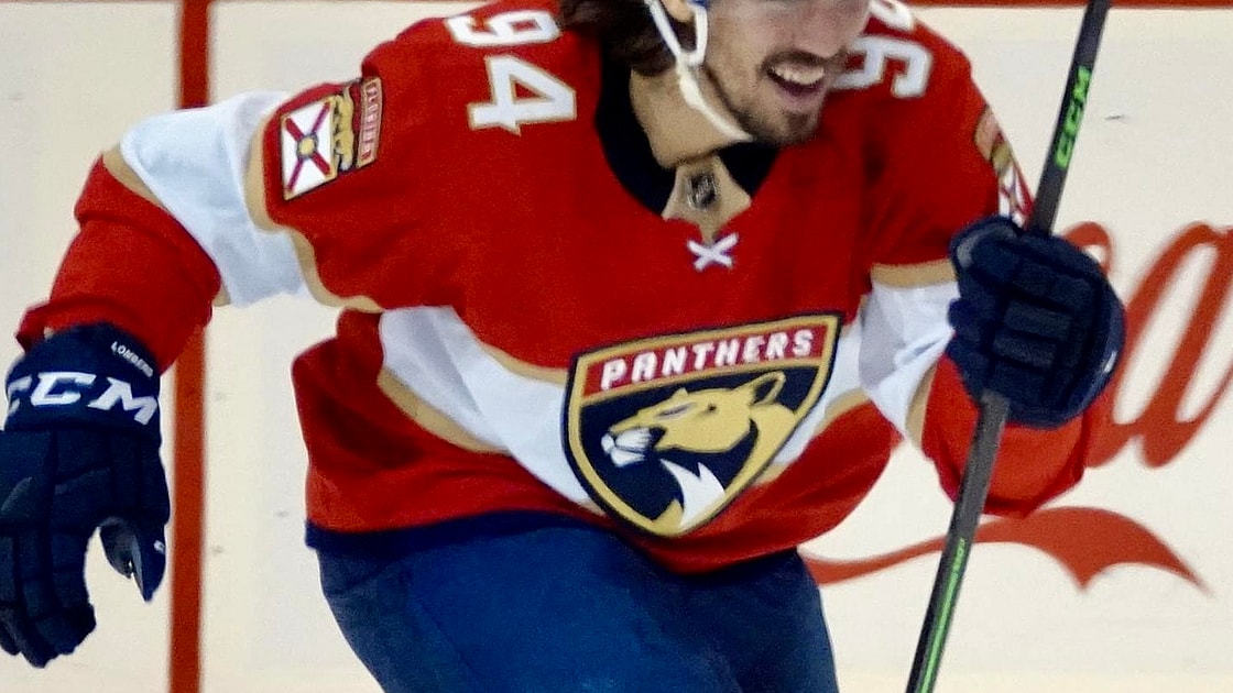 Florida panthers