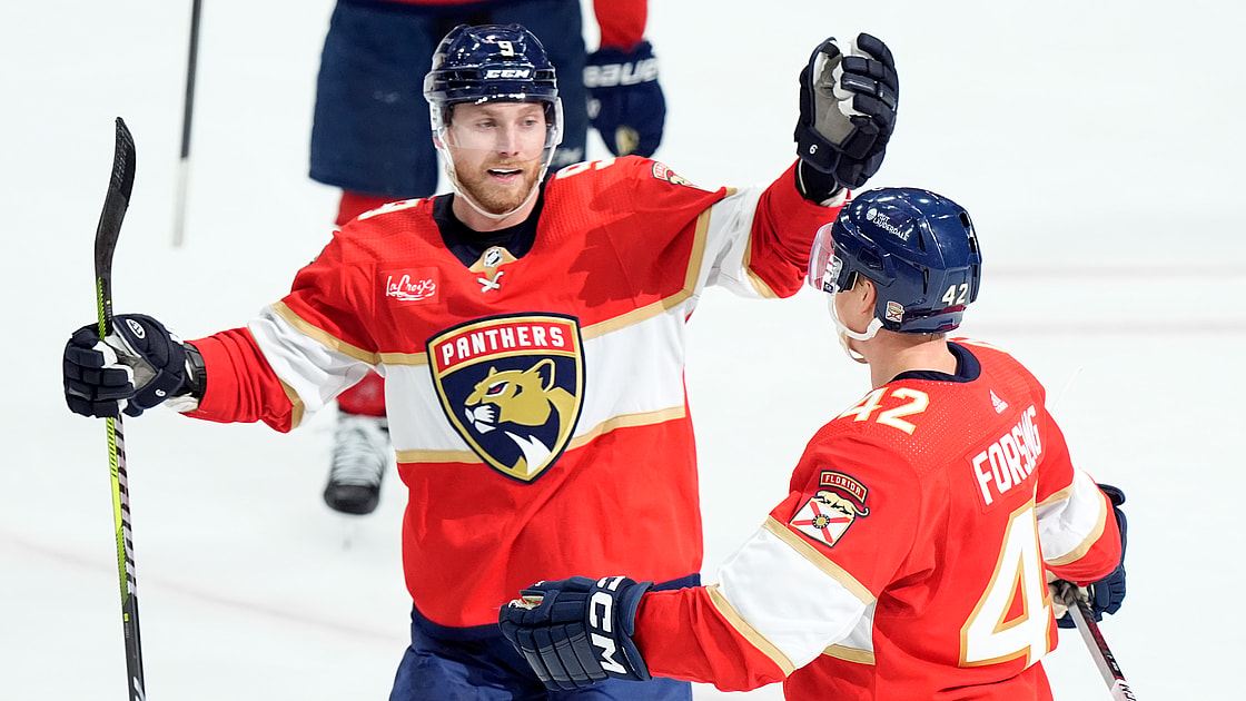 Florida panthers