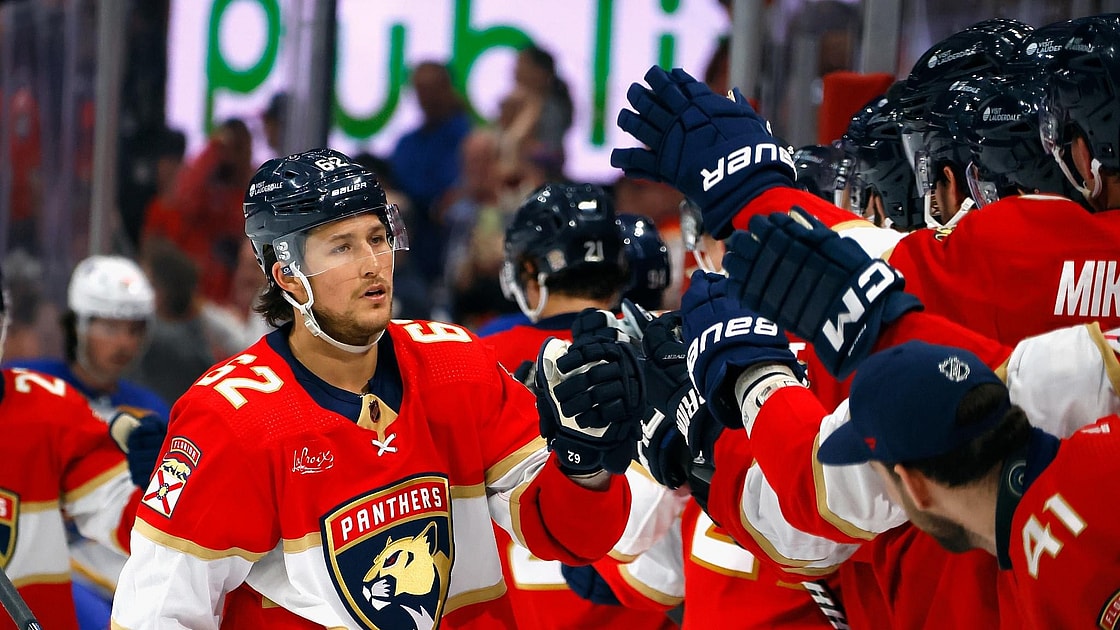 Florida panthers