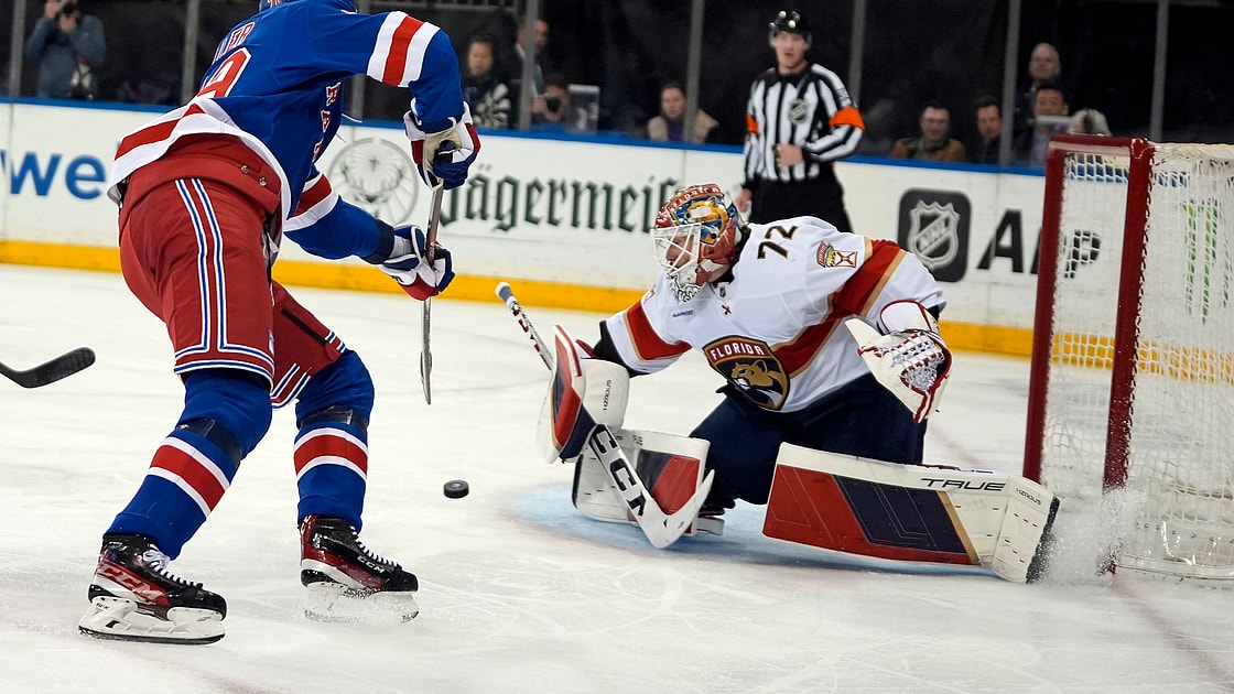 Florida panthers