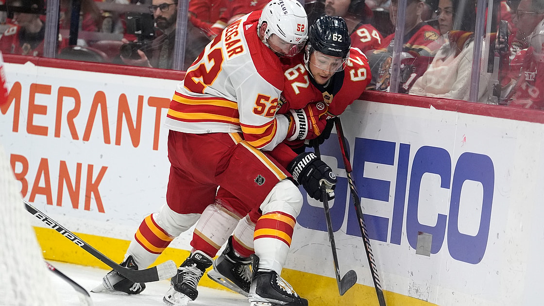 Florida panthers