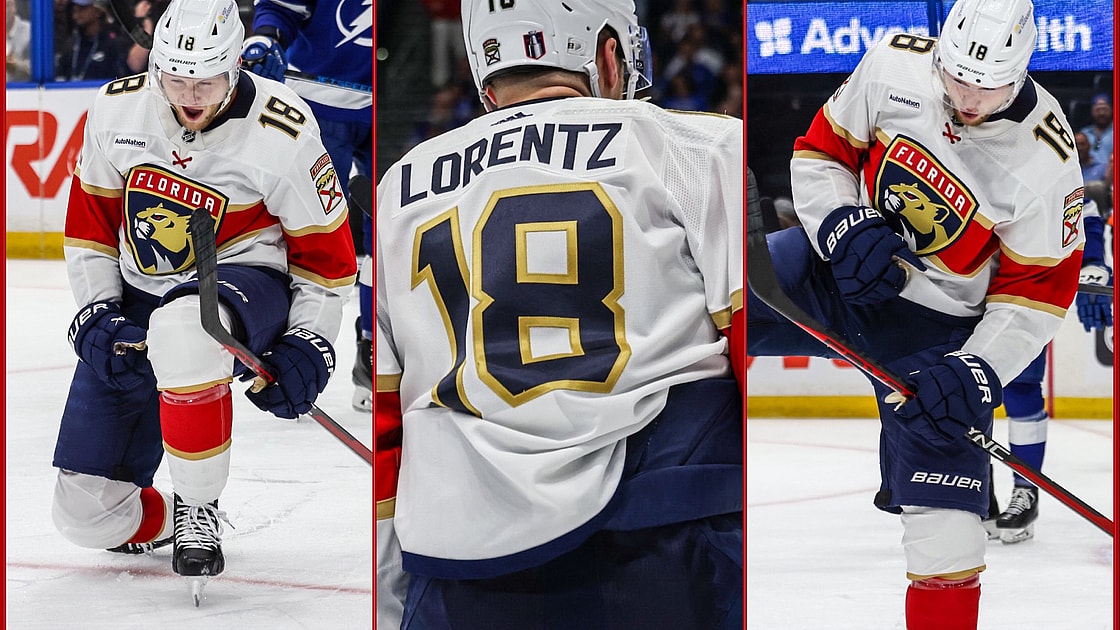Florida panthers