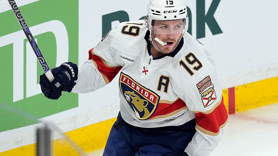 Florida panthers