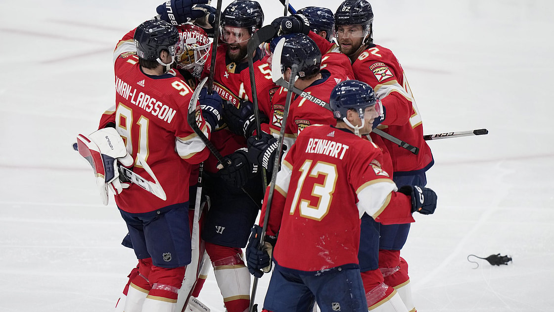 Florida panthers