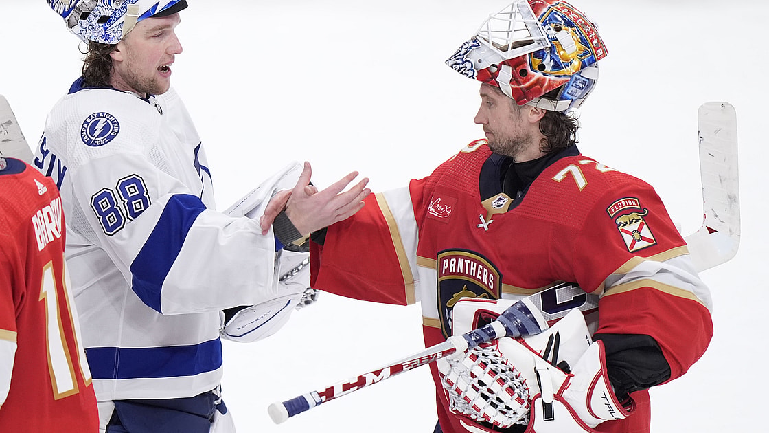 Florida panthers