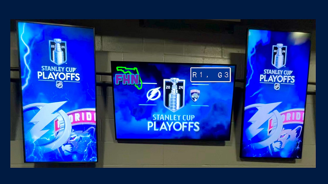 Panthers lightning