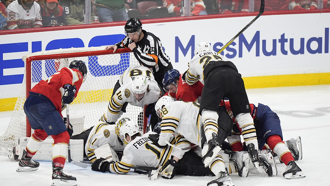 Panthers bruins