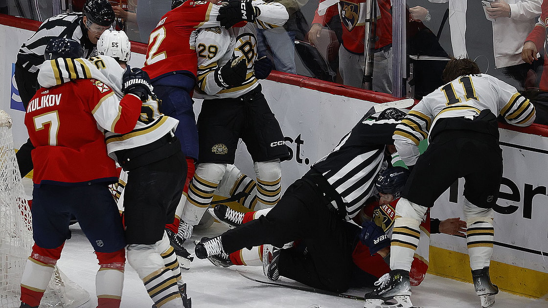 Panthers bruins