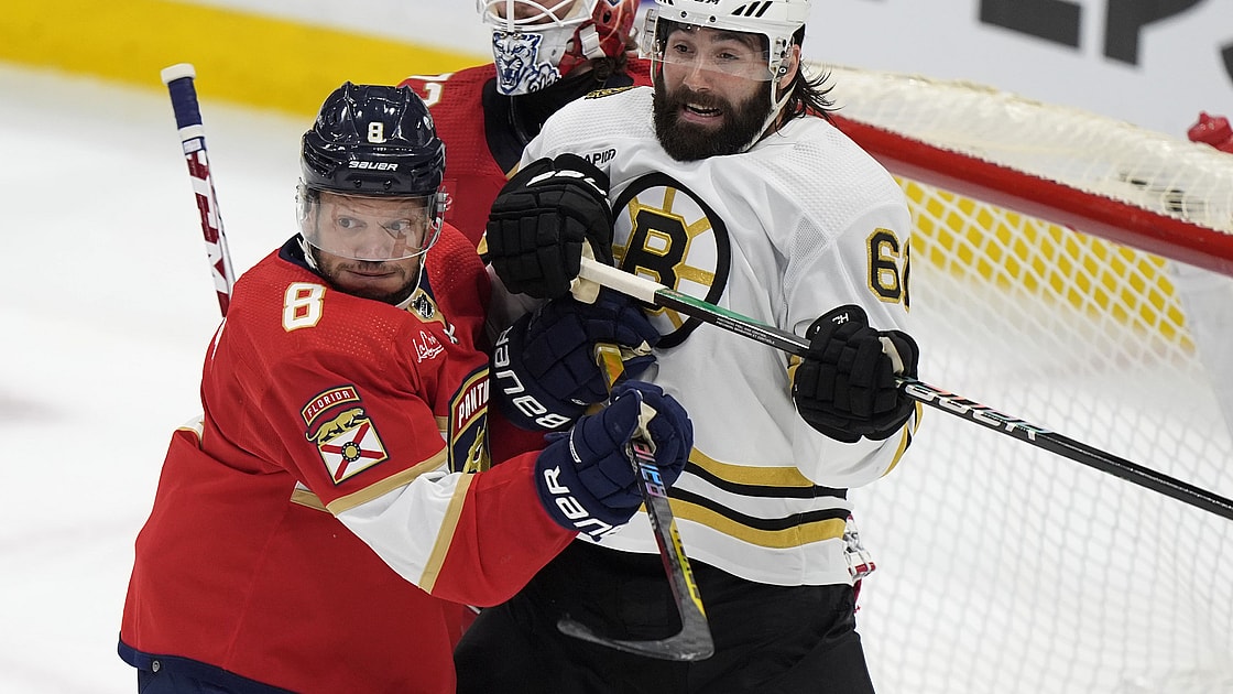 Panthers bruins