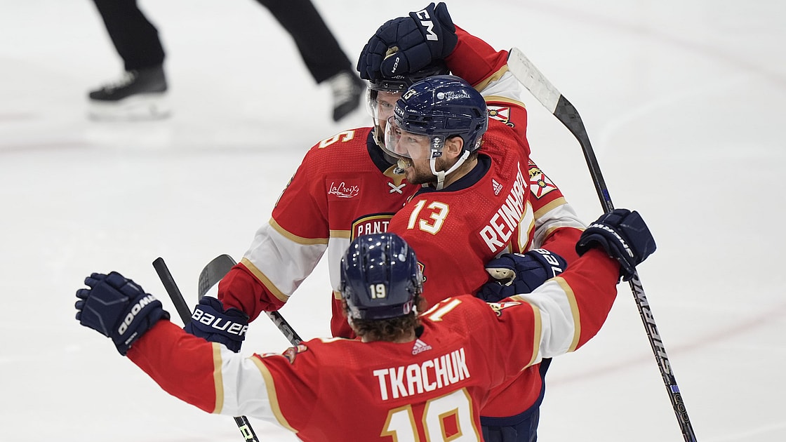 Florida panthers