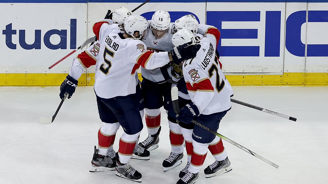 Florida panthers