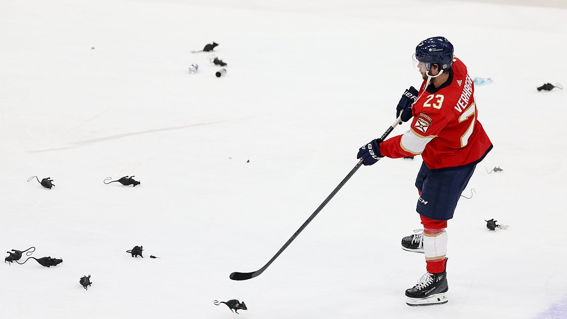 Florida panthers