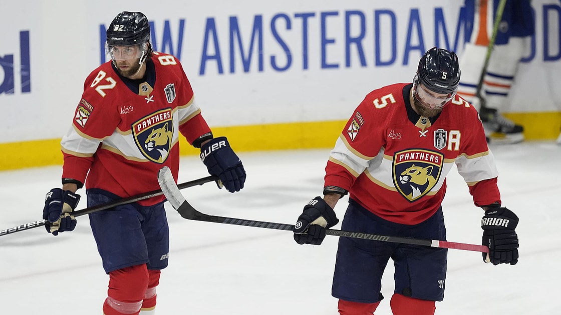 Florida panthers