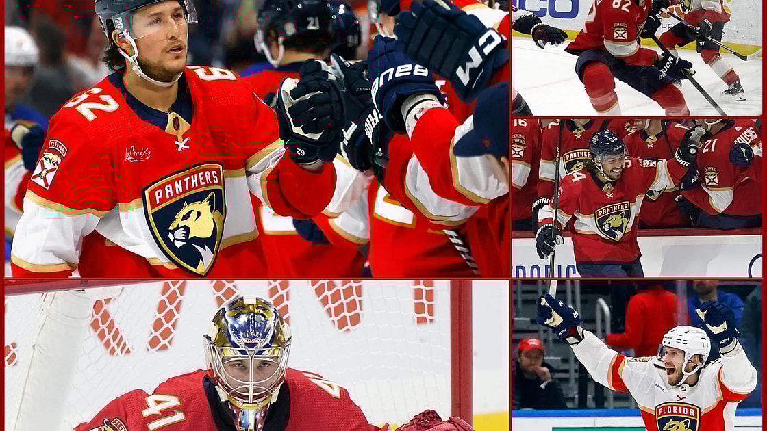 Panthers free agency