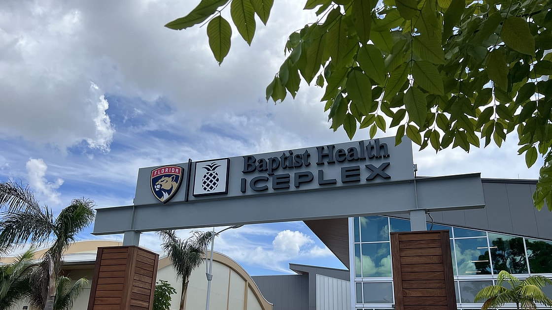 Florida panthers fan