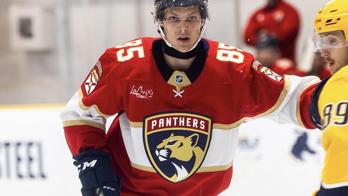 Florida panthers