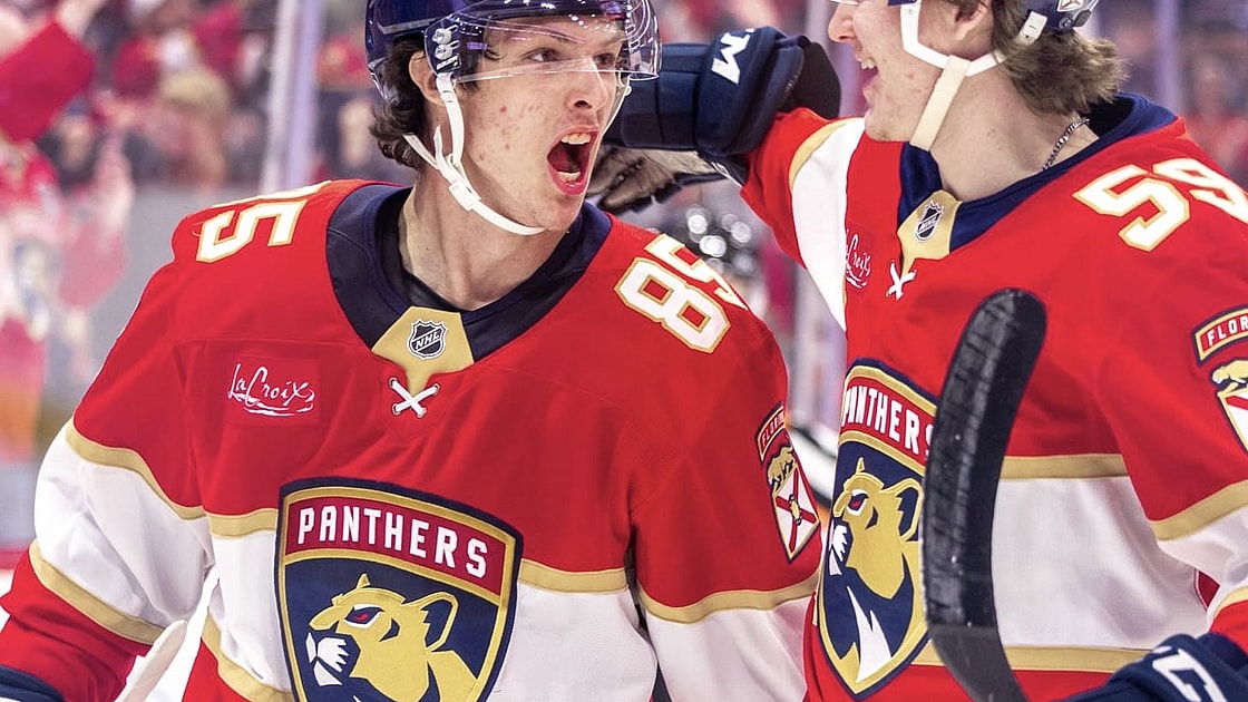 Florida panthers