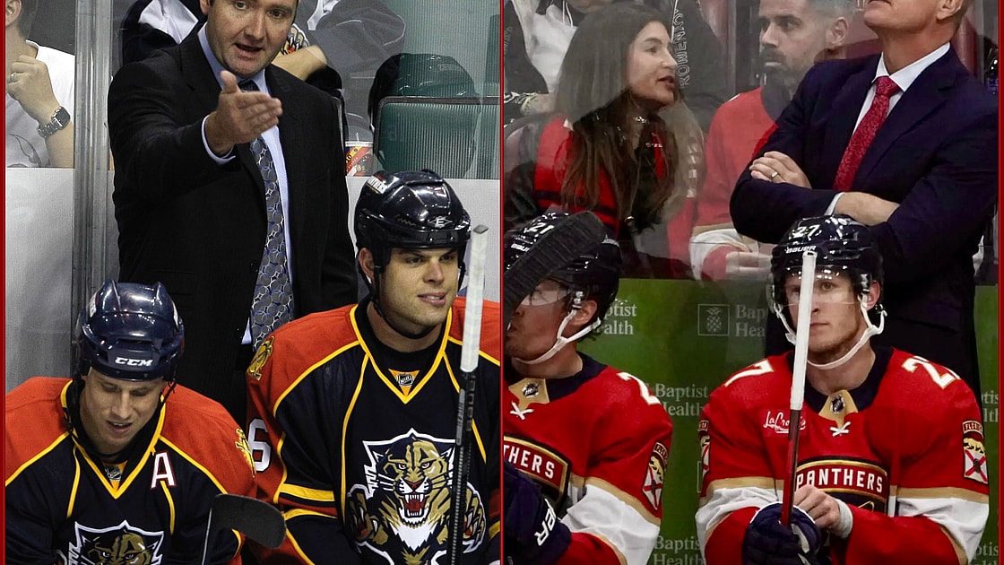 Florida panthers