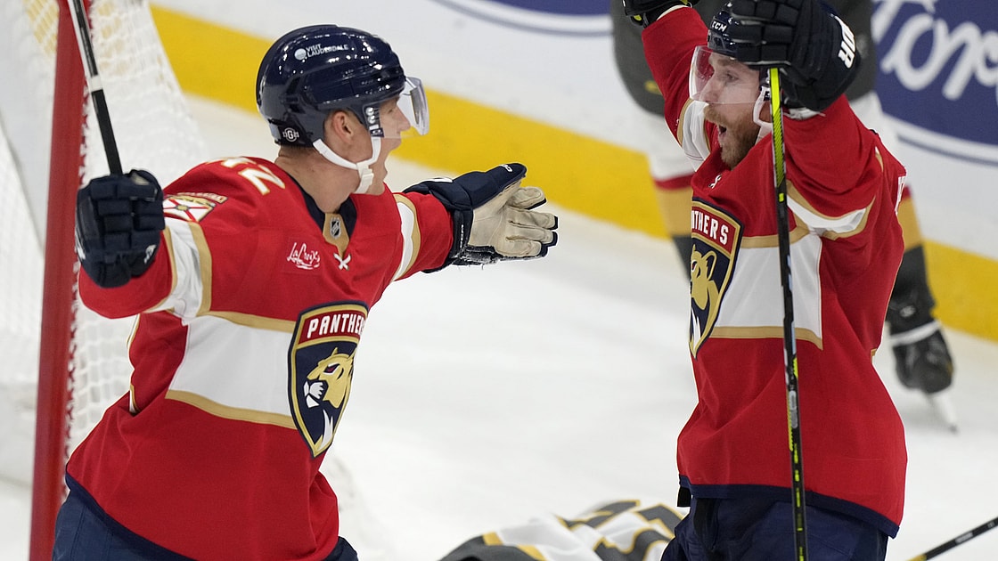 Florida panthers