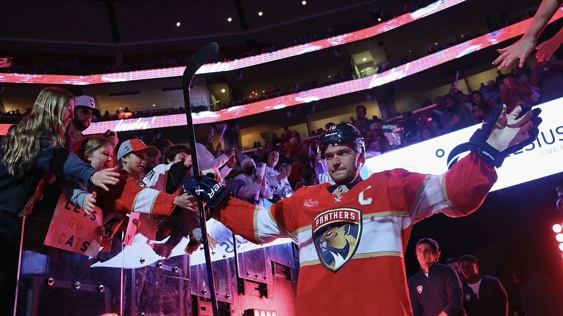 Florida panthers