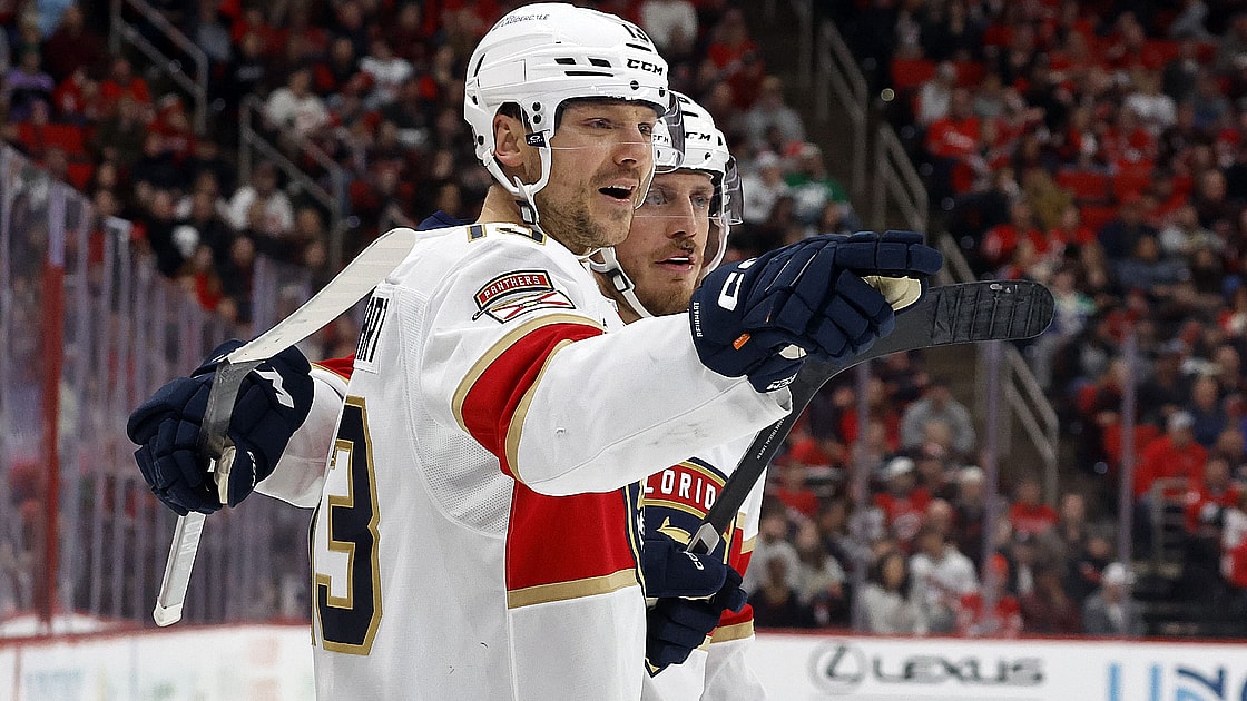 Florida panthers