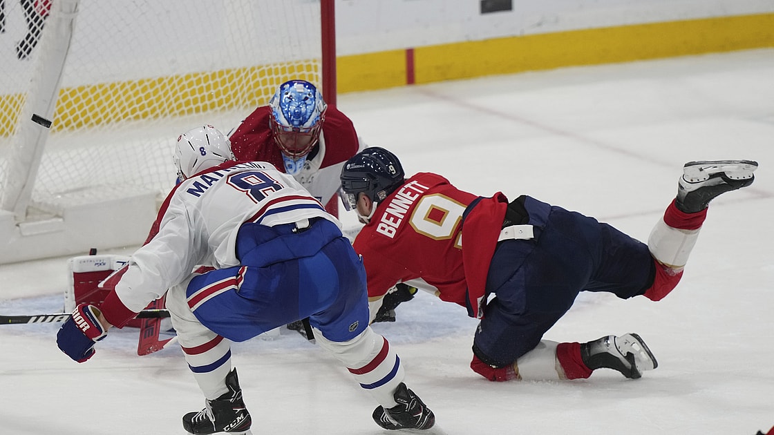 Florida panthers