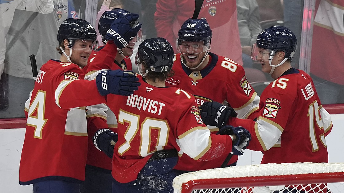 Florida panthers