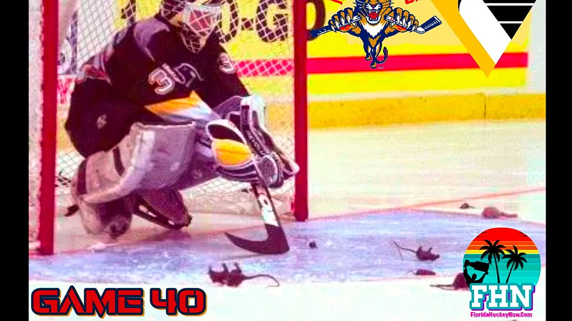 Panthers penguins