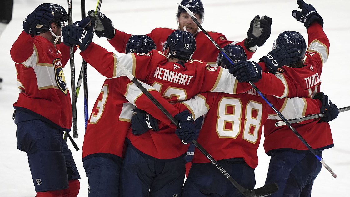 Florida panthers