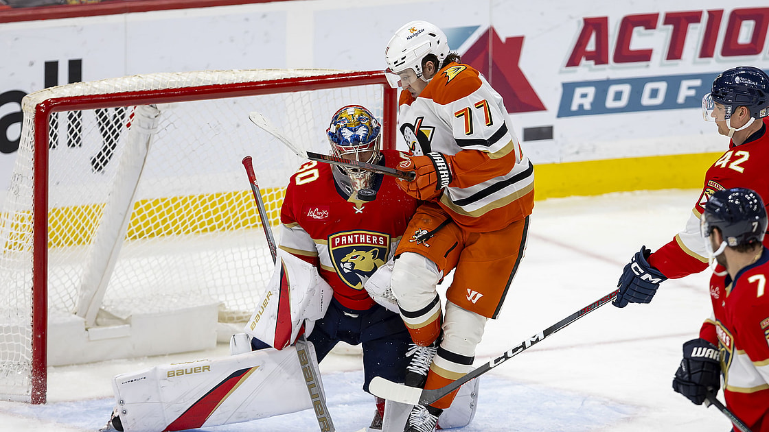 Florida panthers