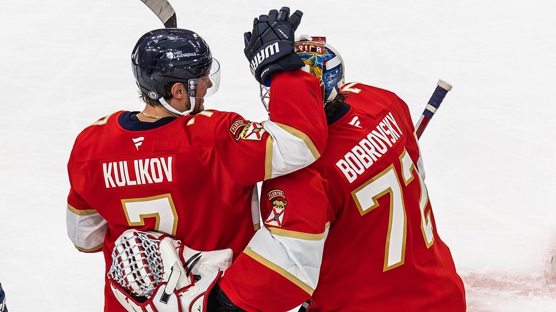 Florida panthers