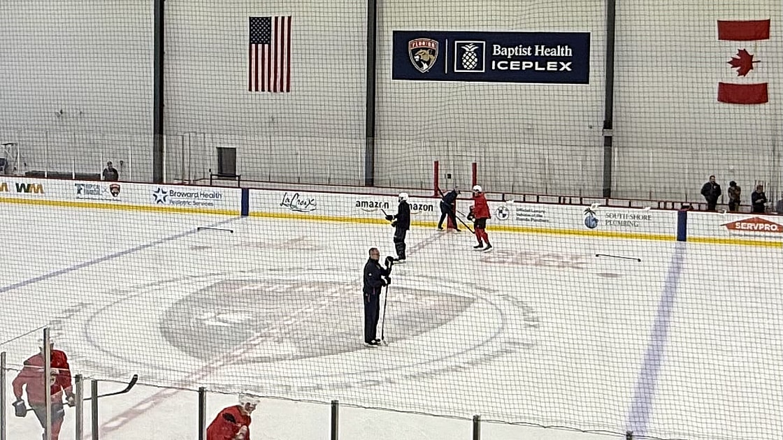 Florida panthers