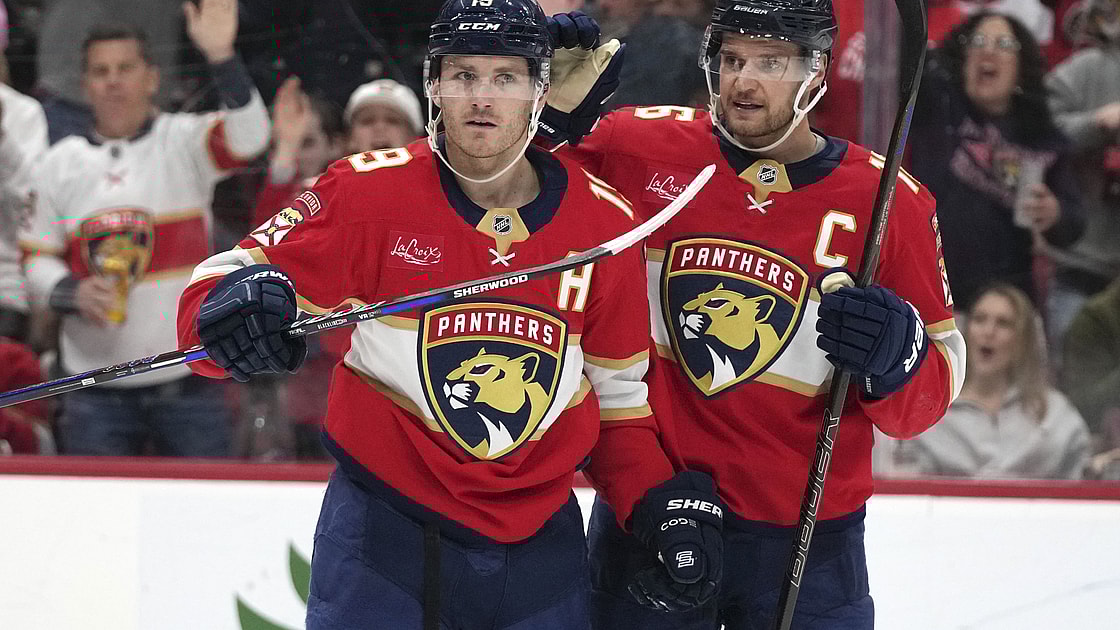 Florida panthers